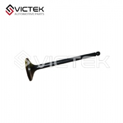 Exhaust Valve 1003201GD050