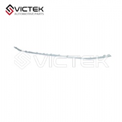 Front Bumper Bright Trim Middle 602000948AAAKR