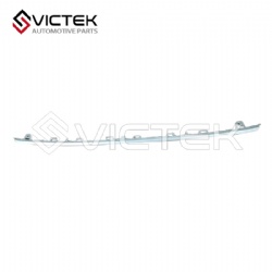 Rear Bumper Bright Trim Middle 602000935AAAKR