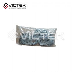 Timing Chain E4G18-1007080