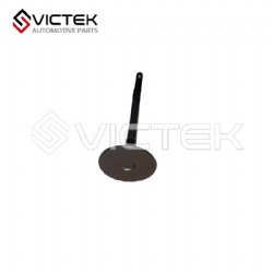 Intake valve E4G16-1007011