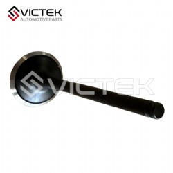 Exhaust Valve LF489Q-1007012A