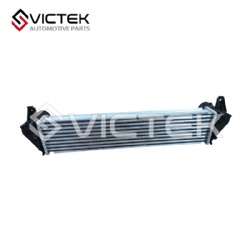 Intercooler radiator 302000140AA