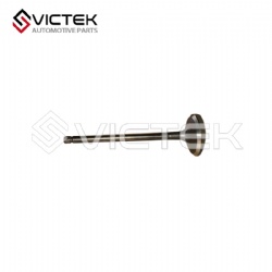 Intake Valve S1007L21153-50010