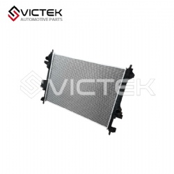 Radiator 302000021AA