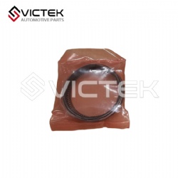 Piston Ring STD 484J-1004030