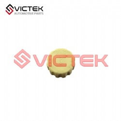 Cover-Expansion Water Tank S11-1311120