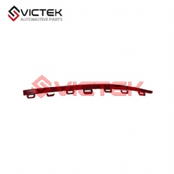 Left bright strip 602002164AAANL