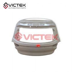 TAIL DOOR 552000038AADYJ