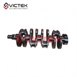 Crank shaft 1005001F0000A