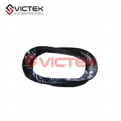 Front door sealing strip 6107111-SF01