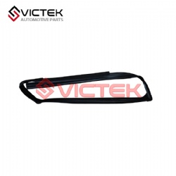 Strip of rear door window (L) 6207102-SF01