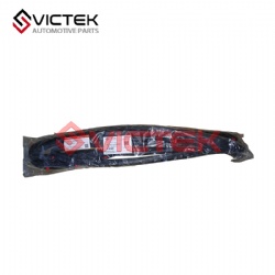 Rear door sealing strip (L) 6207501-SF01