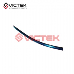 Light strip of front door (L) 6107502-SF01