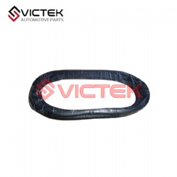 Rear door sealing strip 6207111-SF01