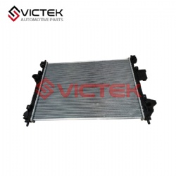 Radiator 302000021AA