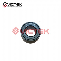 Front Wheel Bearing 1006100GG010XA