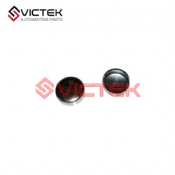 Water Plug 96180730