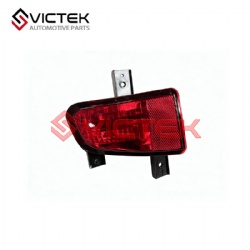 Rear Fog Light, Left S1010370300