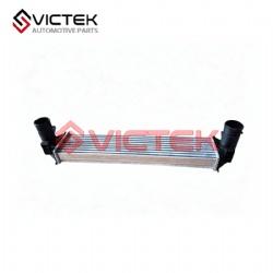 Inter Cooler 302001289AA