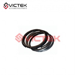 Piston Ring 1016052048-50