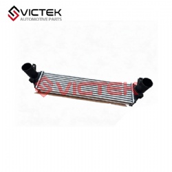 Inter Cooler 302001149AA