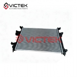 Radiator 302000021AA